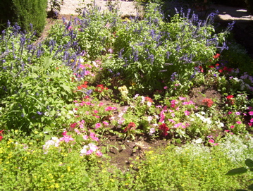 Alhambra flowers