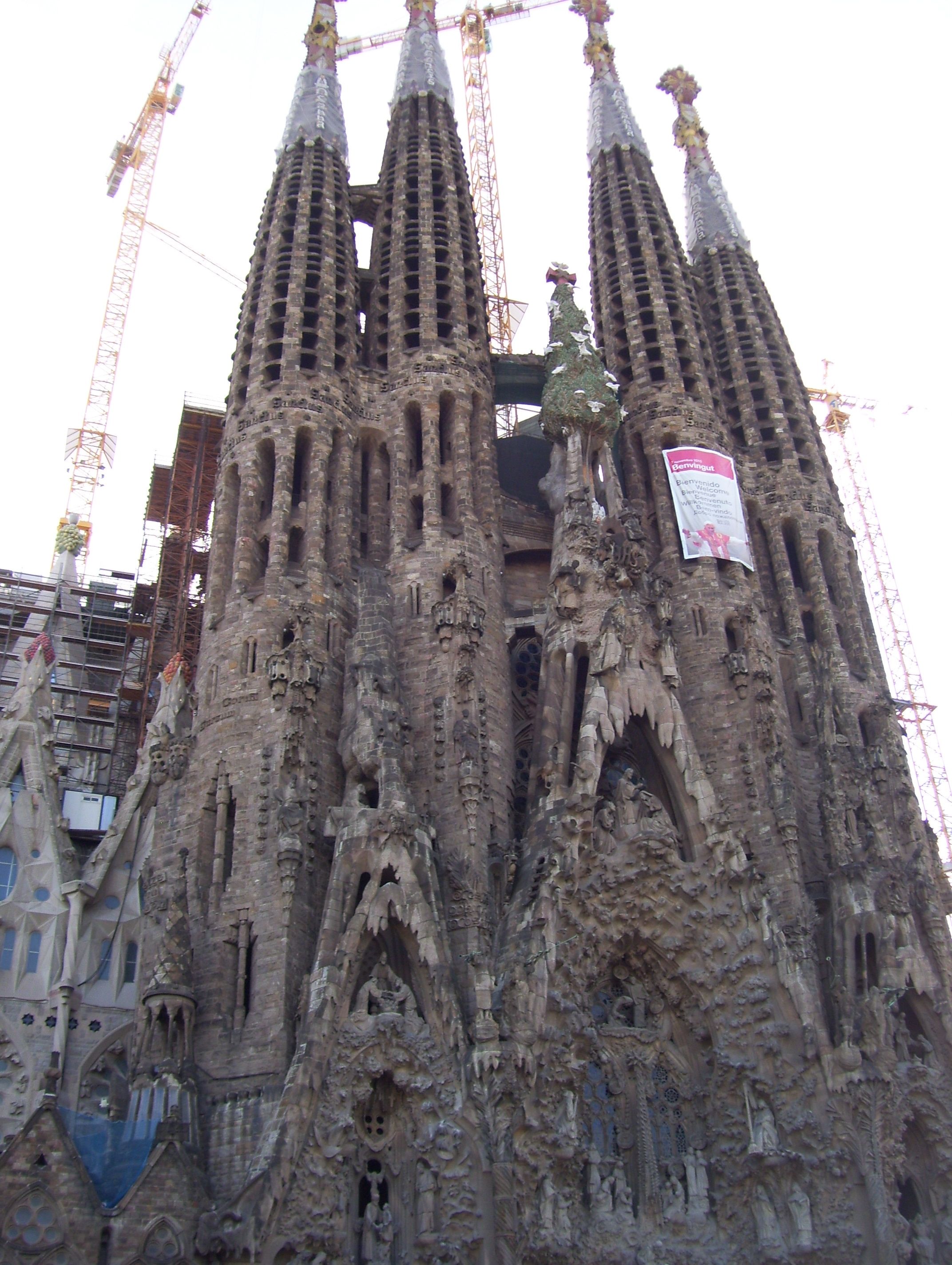 Gaudi famila