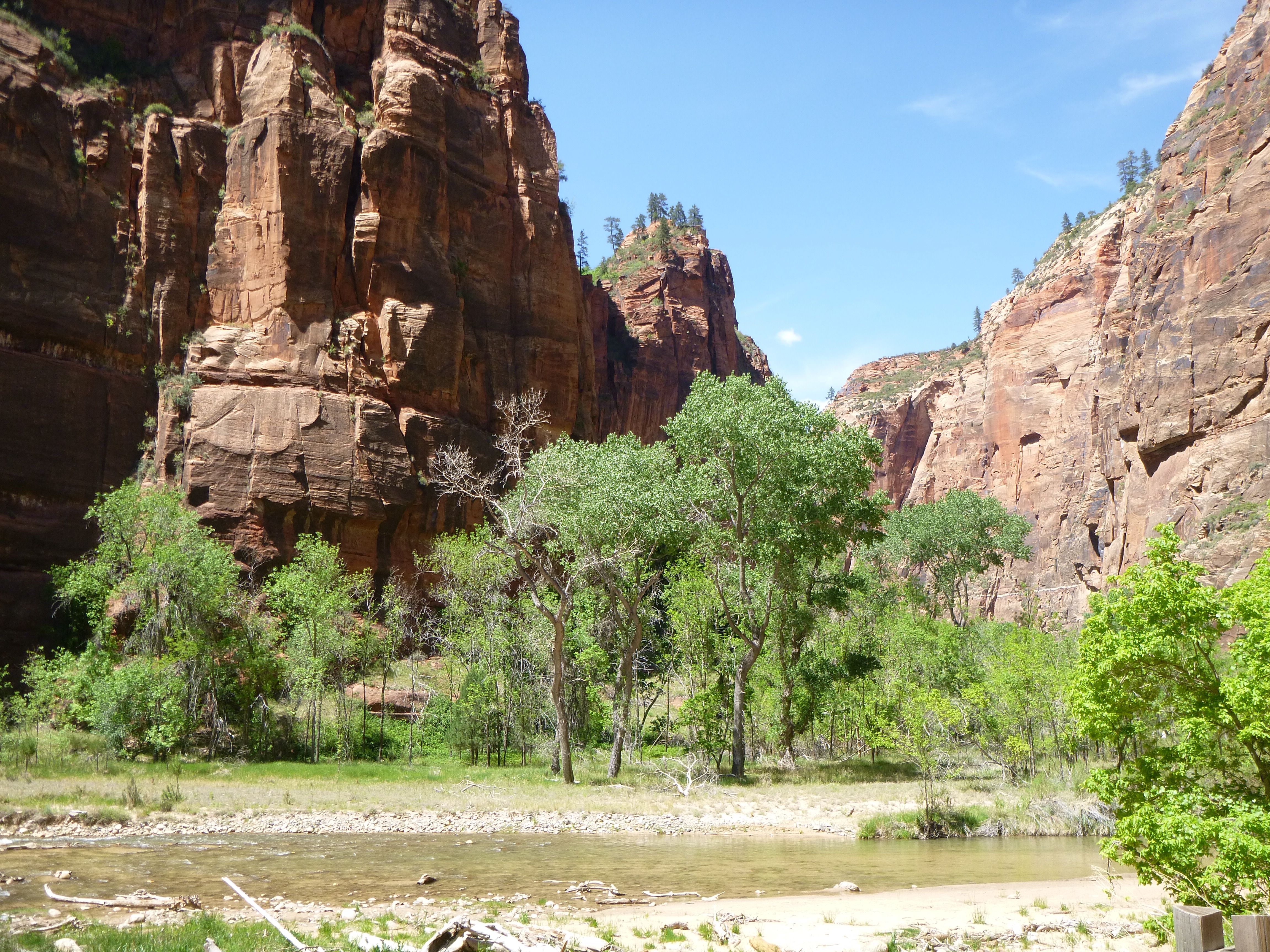 virgin
                river