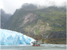 Description: pat0667